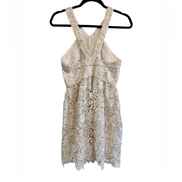 Club Monaco - Doina Cream and Gold Lace Eyelet Mini Dress - Picture 6 of 11